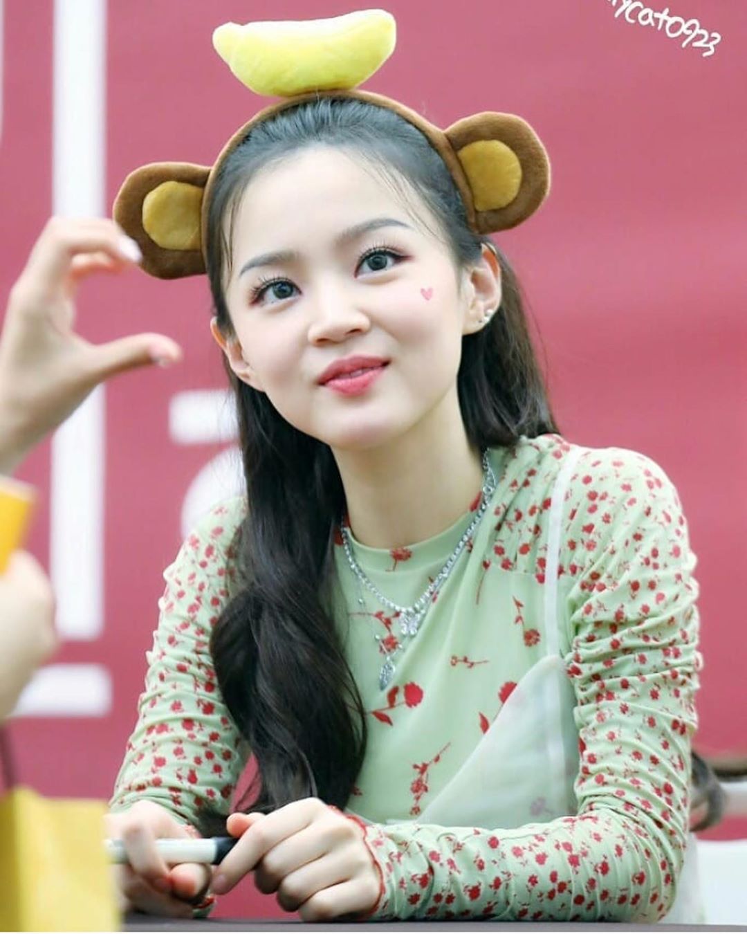 Biodata, Profile Lee Hi Lengkap, Fakta dan Foto Lee Hayi Seleb Squad
