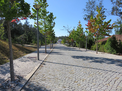 Palace Hotel Termas and SPA Monte Real