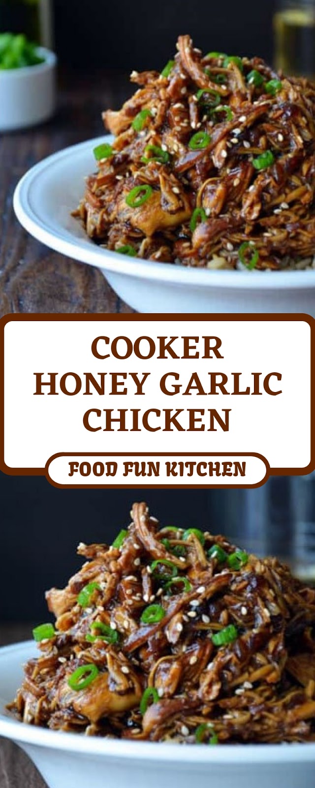 COOKER HONEY GARLIC CHICKEN