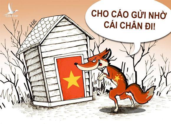 Đừng để “con cáo” Weibo gửi chân trên lãnh thổ Việt Nam