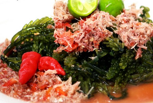 Daya Tarik Objek Wisata Rujak Bulung Di Denpasar Selatan Bali Ihategreenjello