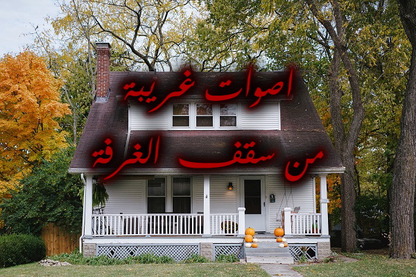 سمعت اصوات غريبة من سقف غرفتها bizzarei سمعت اصوات غريبة من سقف غرفتها bizzarei