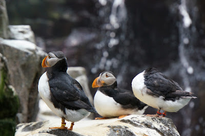 Oceanario-Parques das Naçoes-Lisbonne-Portugal