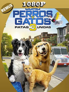 Como perros y gatos 3: ¡Todos a una! (2020) REMUX 1080p Latino [Google Drive] Panchirulo