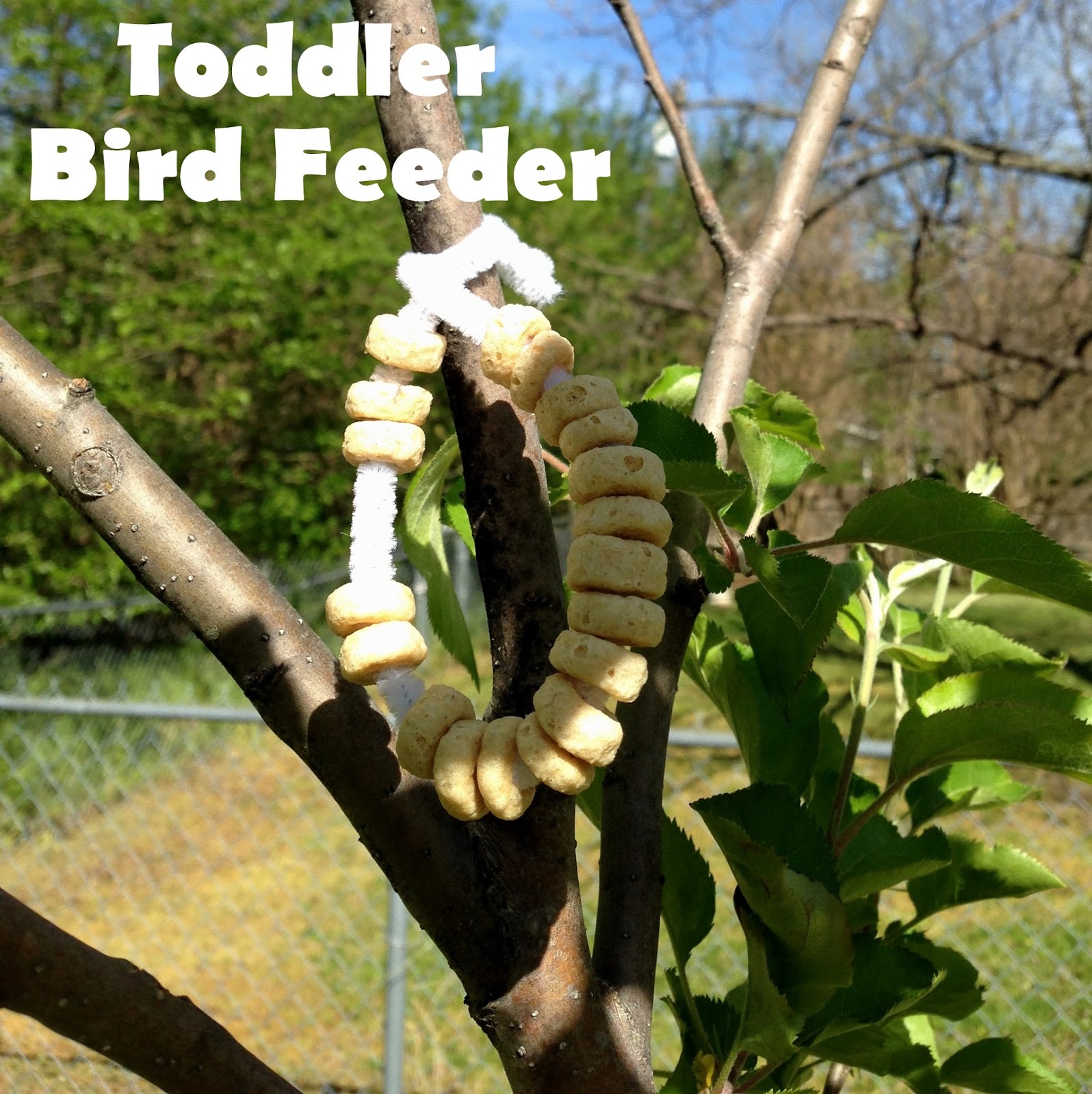 What I Live For Toddler Bird Feeders