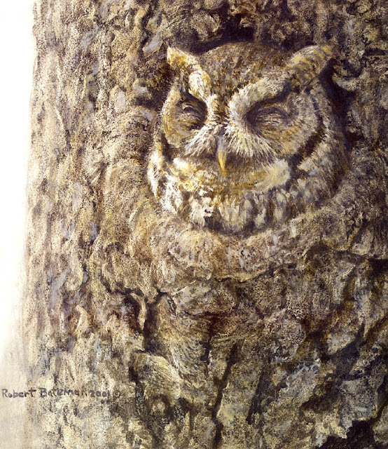 Роберт Бейтмэн / Robert Bateman Eastern Screech Owl in Apple Tree, 2001