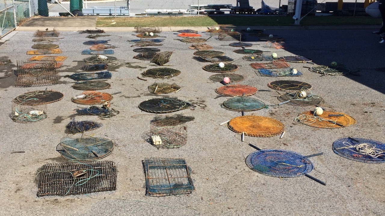 Fisheries Queensland crab pot cleanups Gladstone waters Surfers