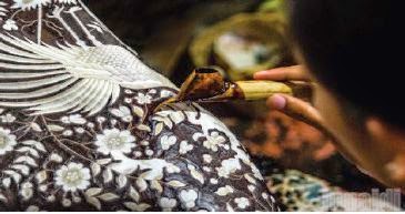 sharp batik Batik