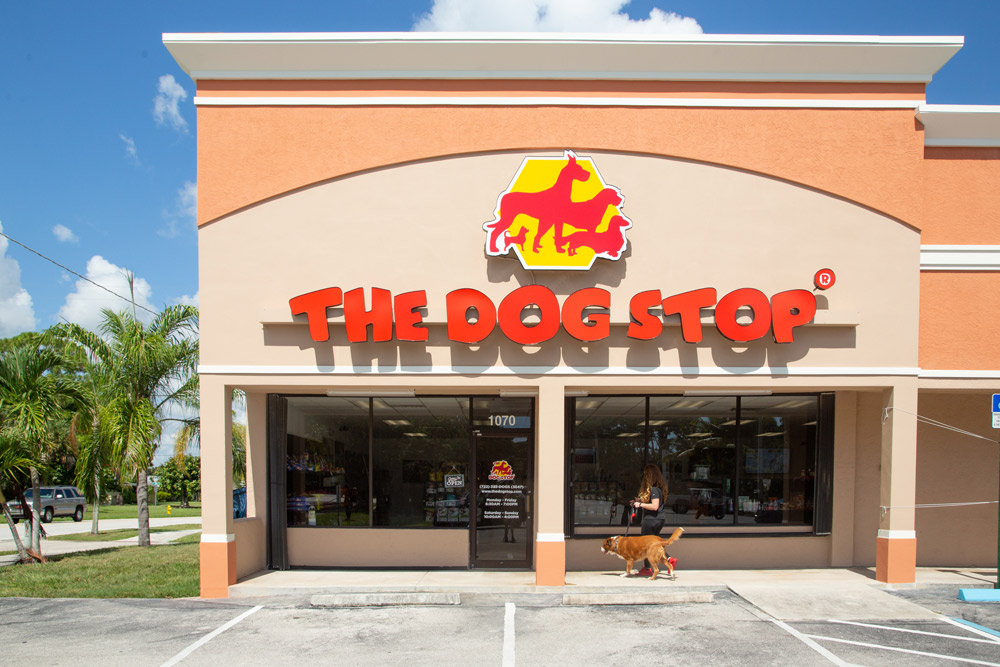 What To Look For When Choosing A Dog Store Doglopedix what-to-look-for-when-choosing-a-dog-store-doglopedix