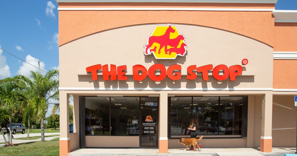 What to Look for When Choosing a Dog Store Doglopedix