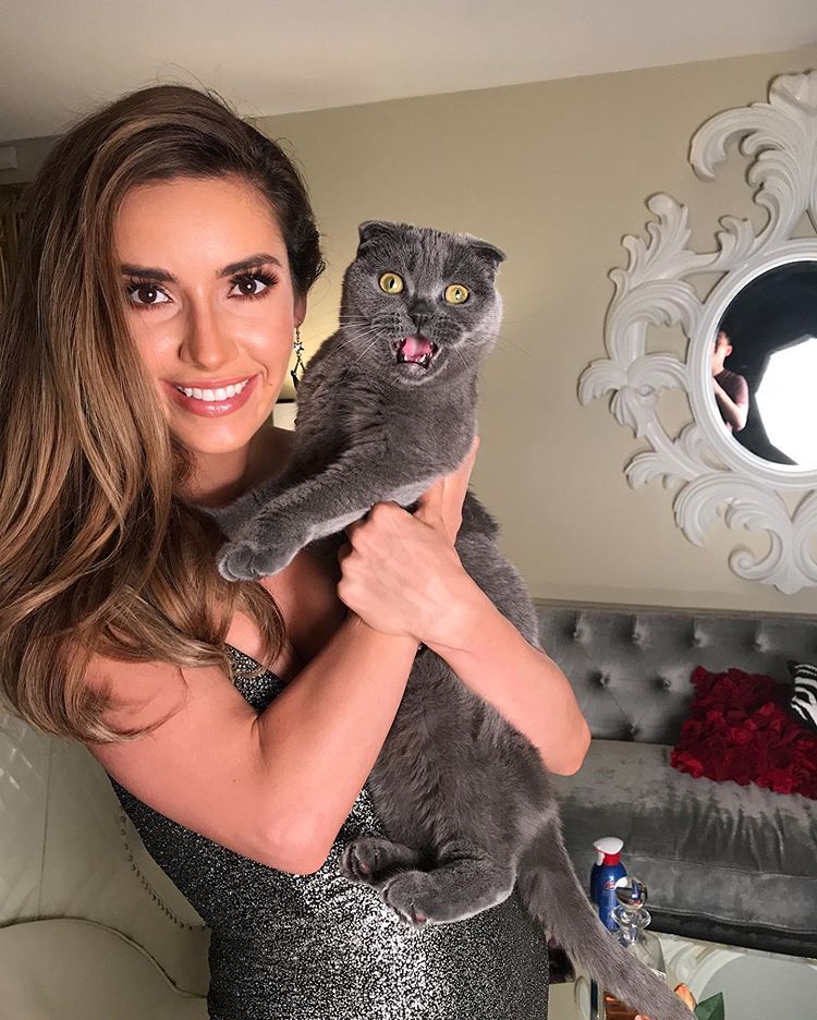 Celebrity Animals Love : Mercedes Terrell Like Cat Pictures Instagram