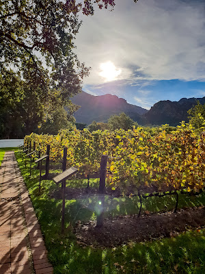 La Motte Wine Estate