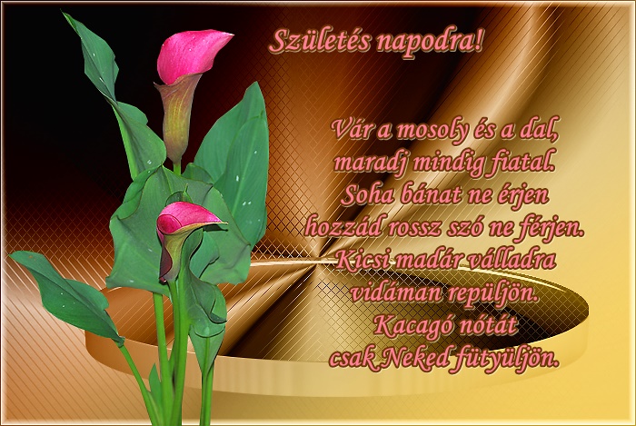 Képes blogoldalam: SZÜLETÉSNAPI KÖSZÖNTŐ KÉPEK