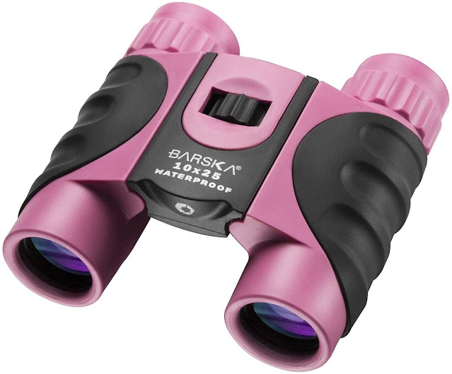 Gift Ideas for 12 Year Old Girls: Pink Binoculars