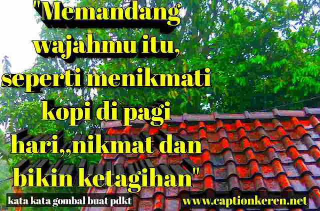 Kata Kata Gombal Buat Pdkt Gebetan Lucu Romantis Lengkap