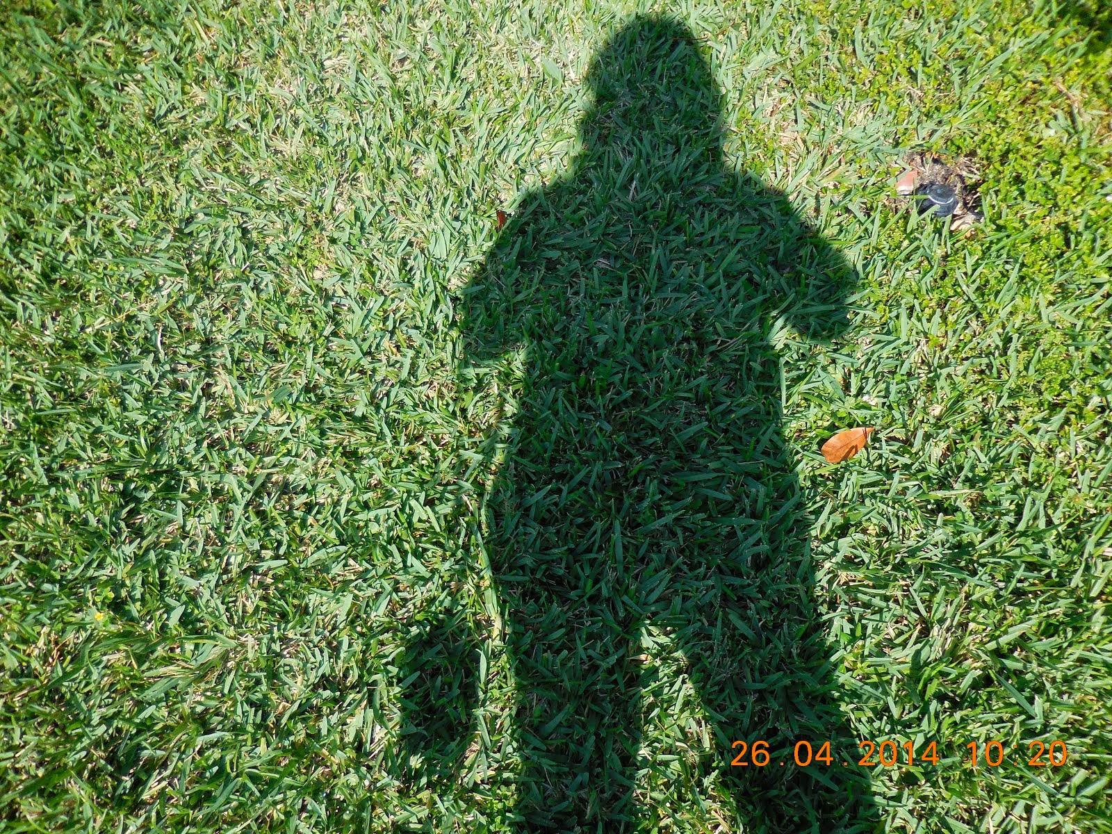 Mi sombra o perfil en el pasto. Soy aficionada a la fotografía.