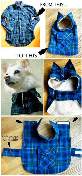 DIY Dog Sweater, Shirt And Coat Patterns | Handy & Homemade