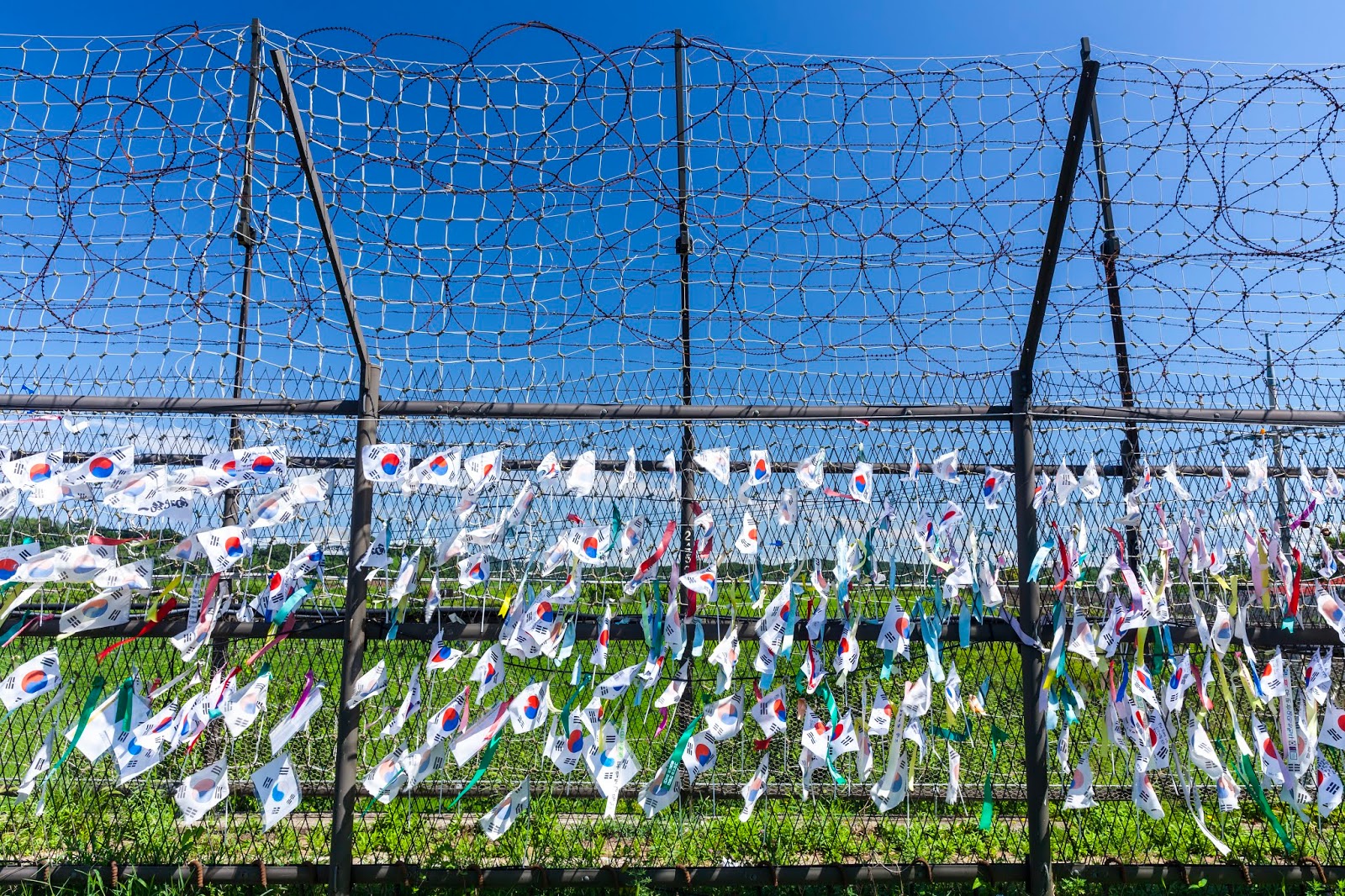 Adding A Copyright C Symbol On Google Docs Linda Winegar