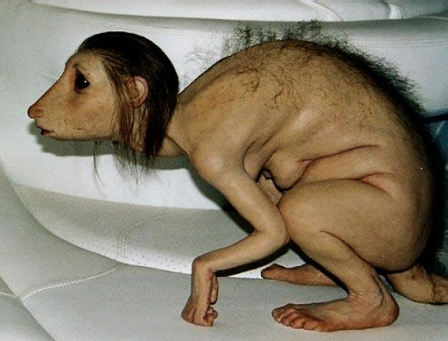 Portfolio-Patricia-Piccinini-26-e1351288165636.jpeg