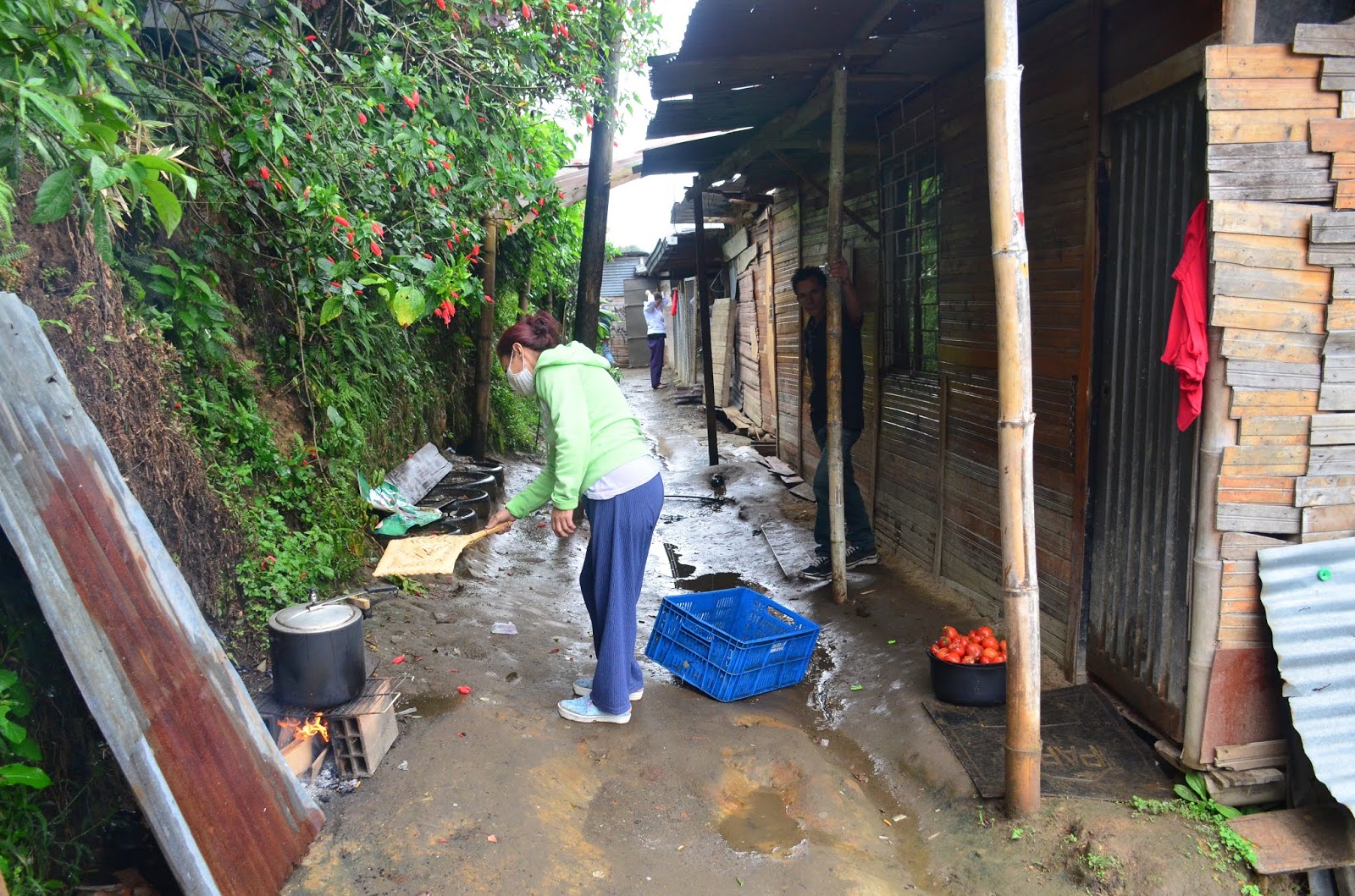 Los problemas sociales que exhibe la pandemia en Colombia Q'hubo