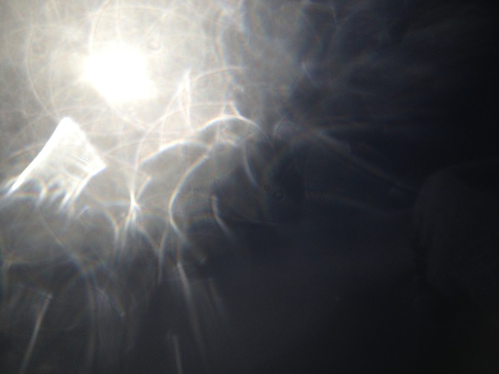 Lorenzo Milesi mtb and ski tour La prima perla inverno 2012/13