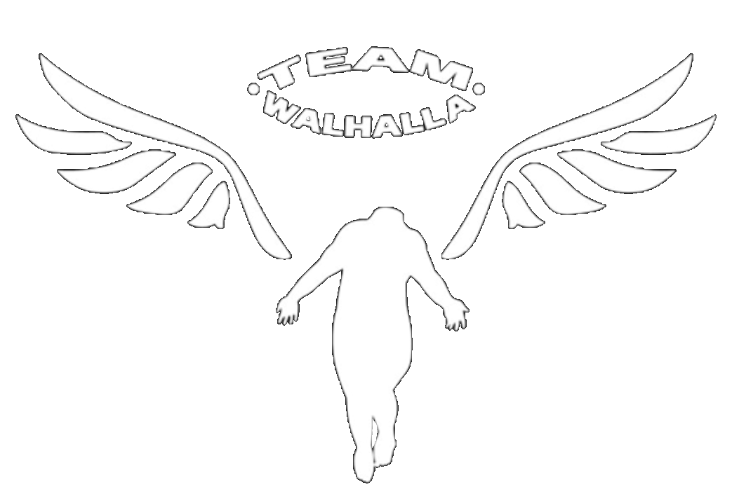 Вальгалла токийские. Валгалла Токийские Мстители. Team Valhalla Tokyo Revengers logo. Вальхалла Токийские Мстители Вальхалла.