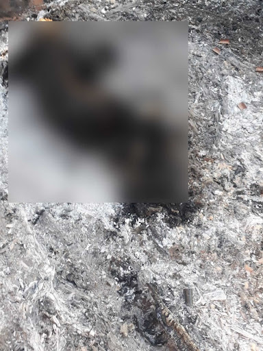 Tragédia em Fortaleza dos Nogueiras; Menina de 4 anos morre carbonizada em casa