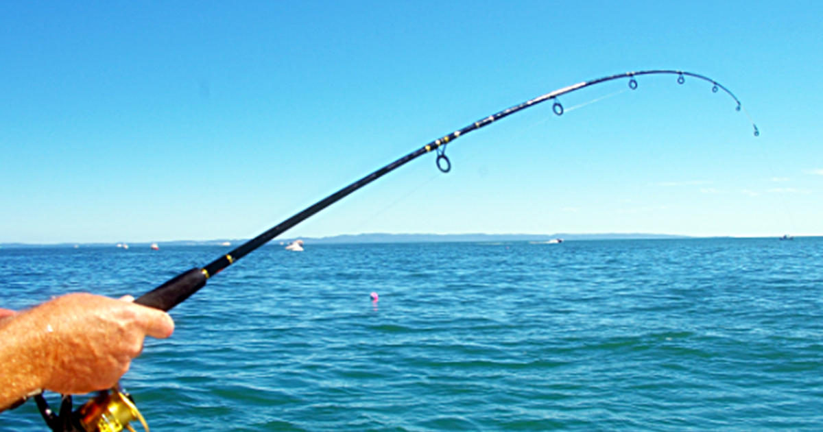 Mimpi Ikan Hitam Besar Pertanda hal baik atau hal buruk?