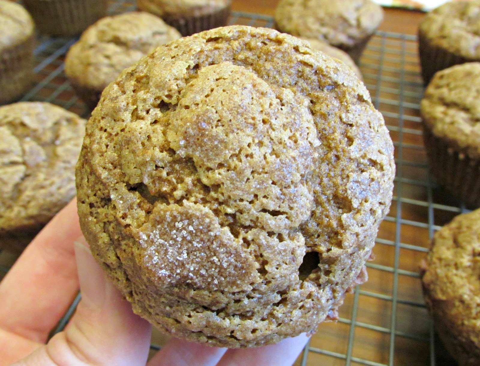 Chicago Jogger Chai Pumpkin Muffins for a Friend in Need + ALS Awareness