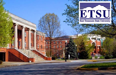 Doctoral dissertation east tennessee state university