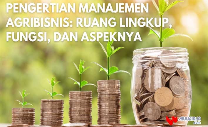 √ Pengertian Manajemen Agribisnis: Ruang Lingkup, Fungsi, dan Aspeknya