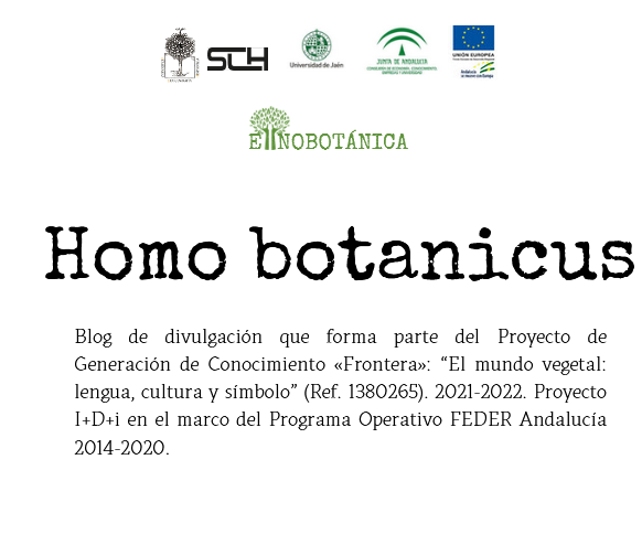 Homo botanicus