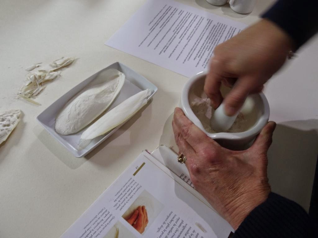 L’os de seiche pour la réparation osseuse et la cicatrisation