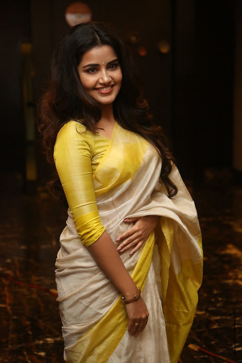 Anupama Parameswaran at SVC Success Celebrations