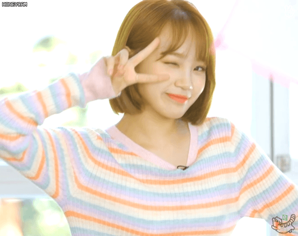 채원이 얘교를 본  나코 반응
