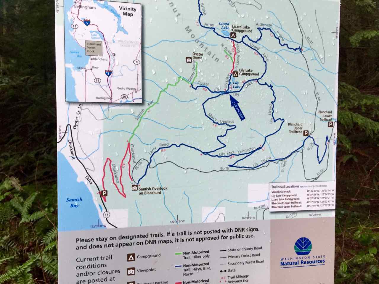 DJanity Oyster Dome 2016