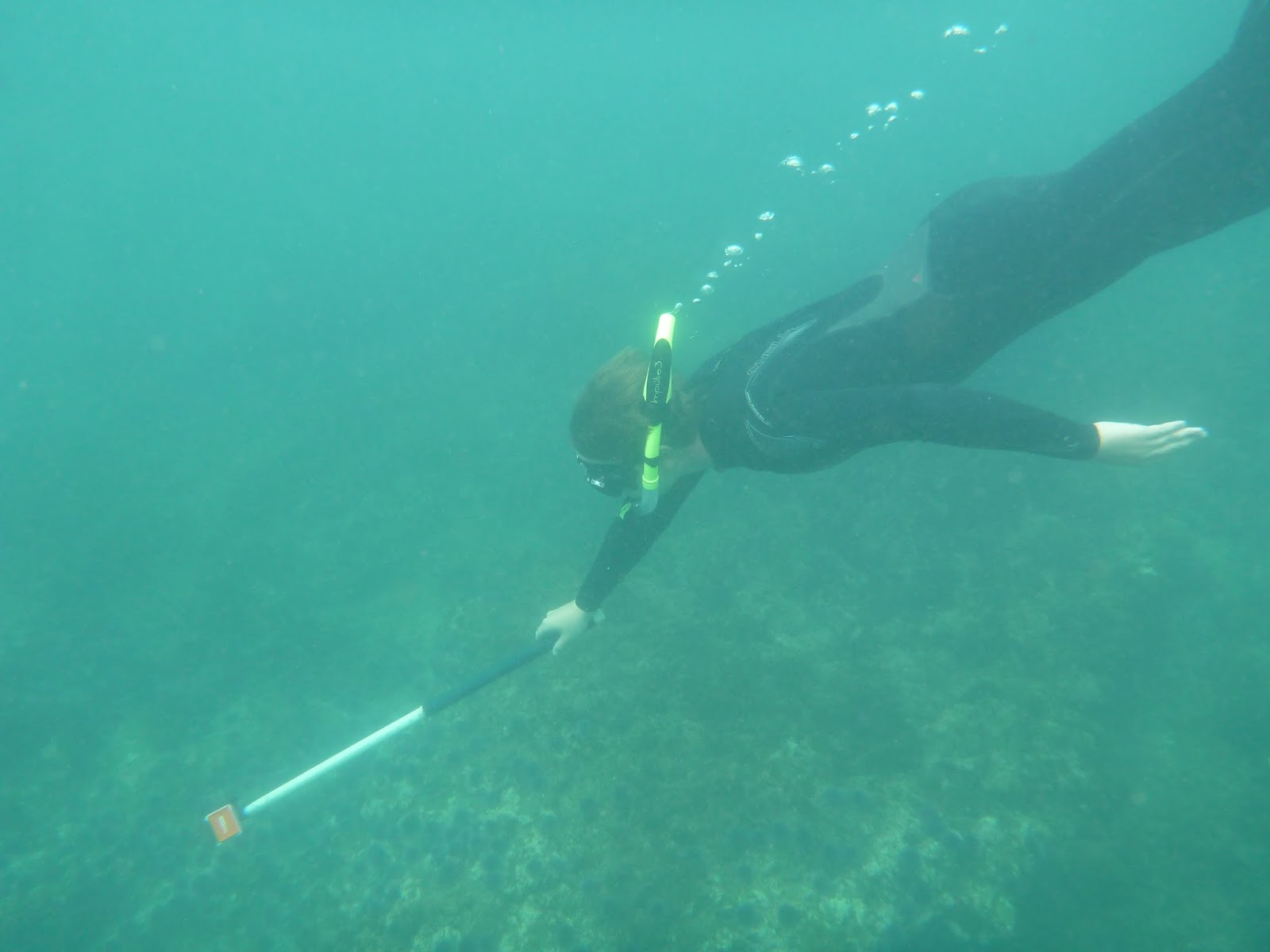 Happy Trails Snorkeling at Laguna Beach