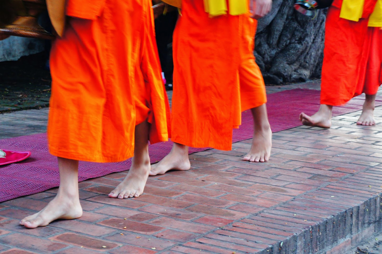 Luang Prabang - Monks in procession