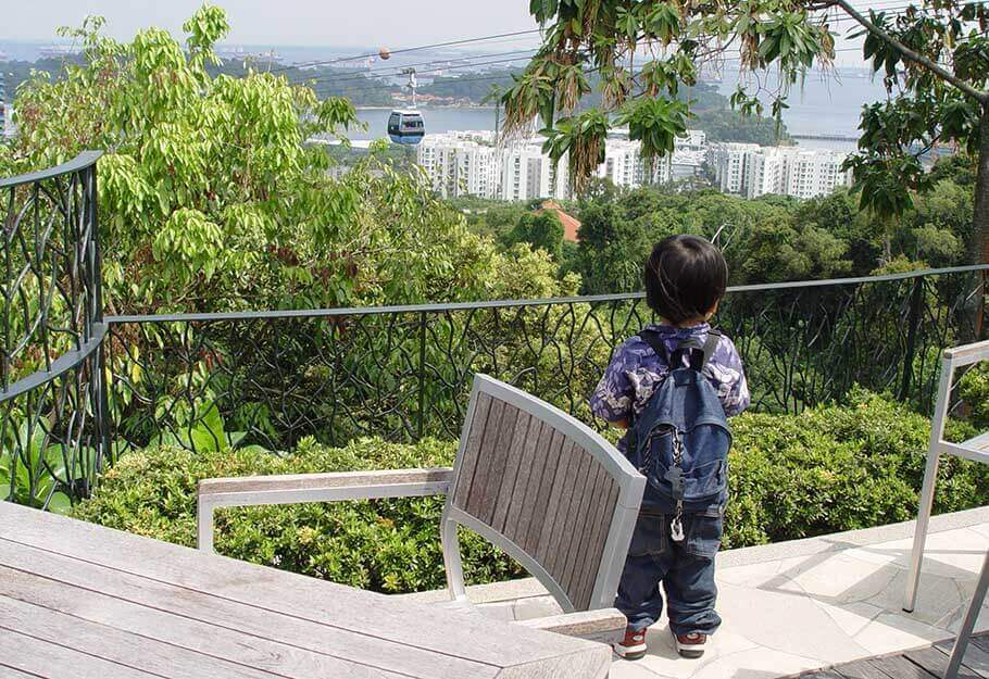 singapore gondola, singapore cable cars