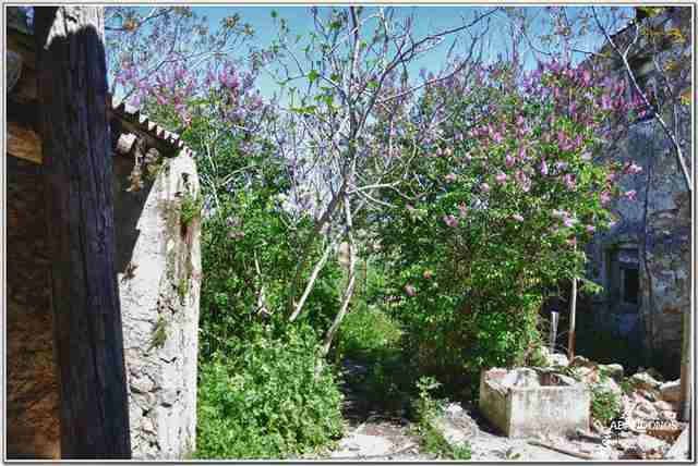 Abandono y en Ruinas: Poblado de Oreja
