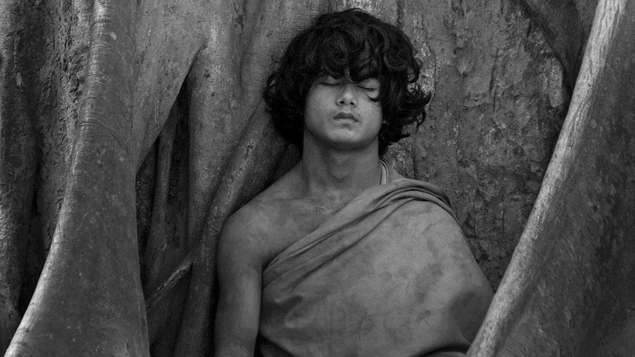 Wisdom Quarterly American Buddhist Journal Who is "Buddha Boy"? (video)