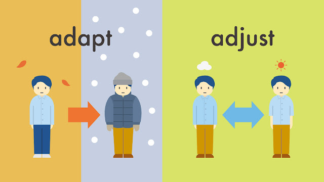 adapt と adjust の違い