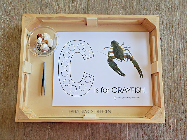 Crayfish Do-a-Dot Page Using Tweezers and Shells