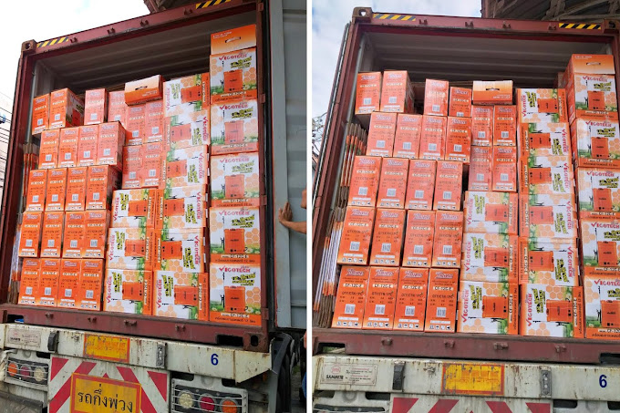 เครื่องพ่นยาแบตเตอรี่ 12 ลิตร น้ำหนักเบาใช้ง่าย สำหรับคุณผู้หญิง-