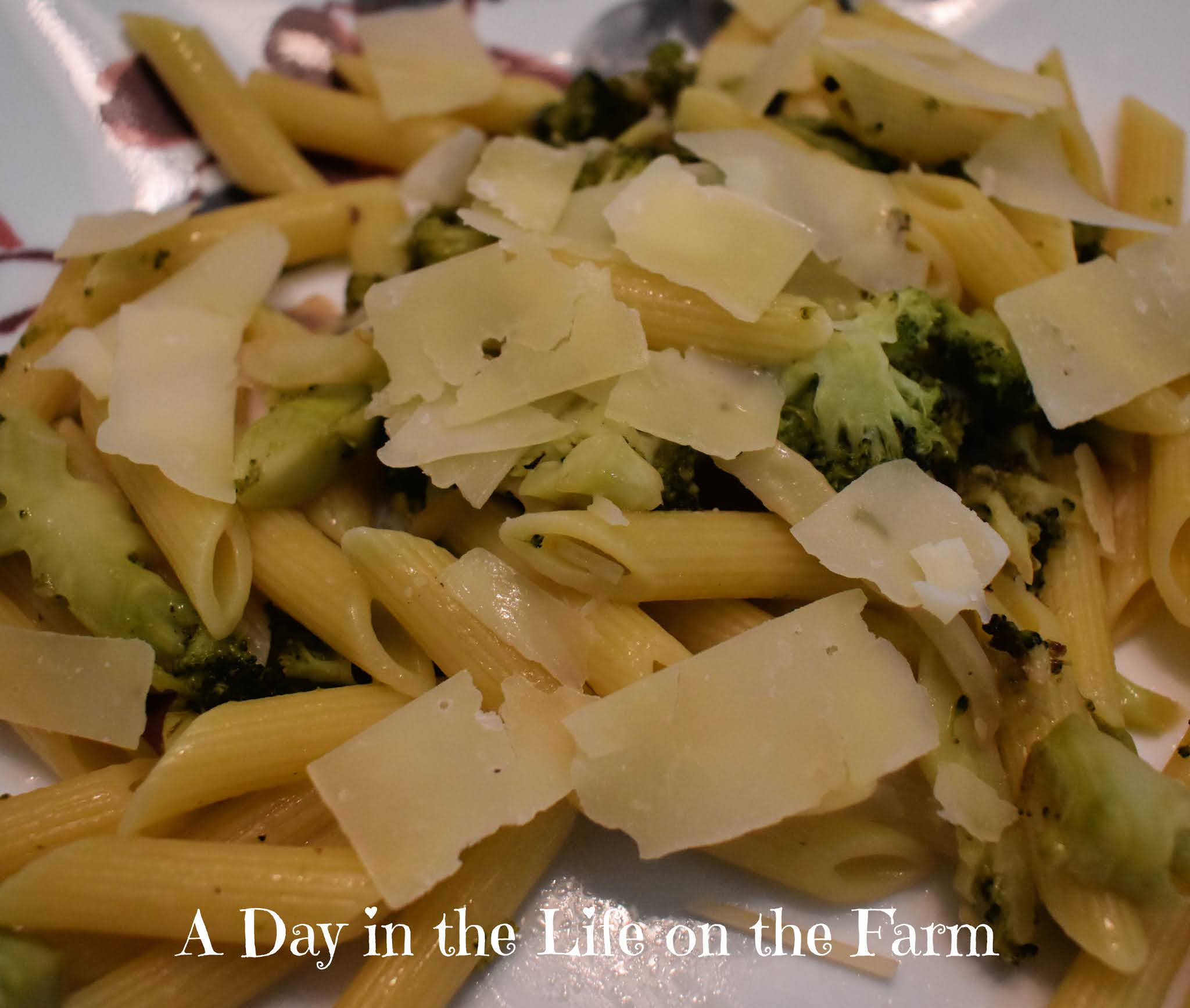 A Day in the Life on the Farm Pasta and Broccoli in Garlic Oil LitHappens