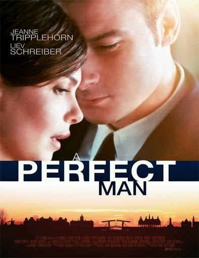 A-Perfect-Man-poster.jpg