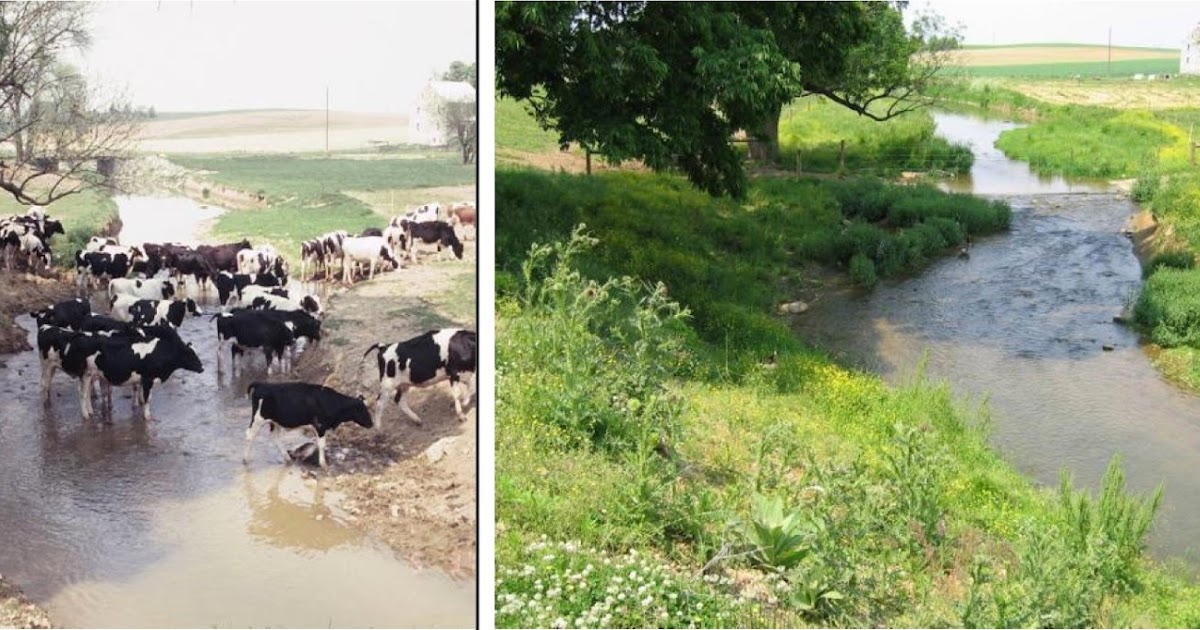 PA Environment Digest Blog: PA Conservation Districts Highlight Vital