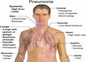 Normal Body Temperature For An Adult 65