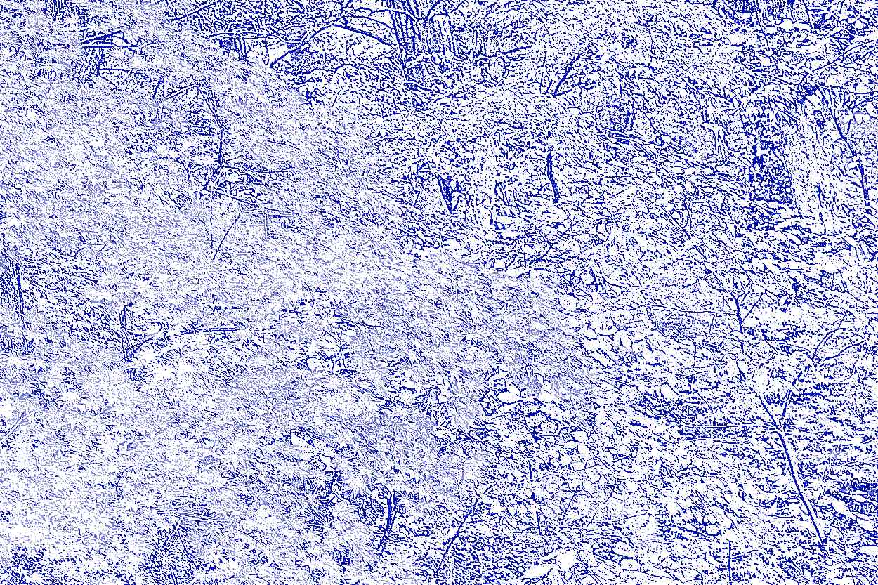 공주 태화산 마곡사 공주 태화산 마곡사