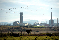 Windscale Nuclear Disaster